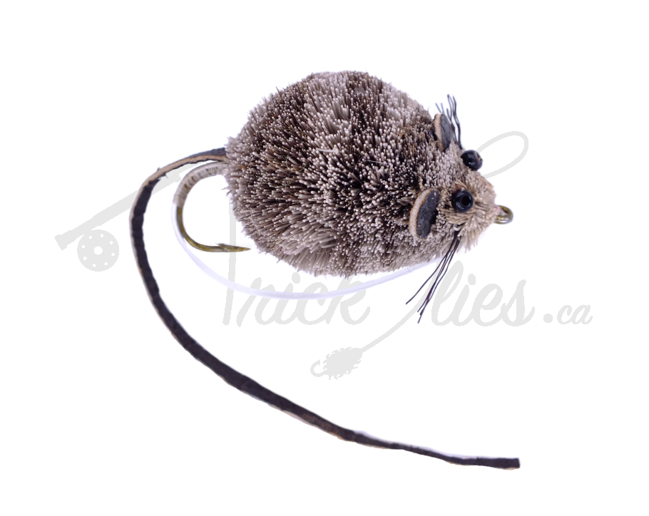 Mouse
