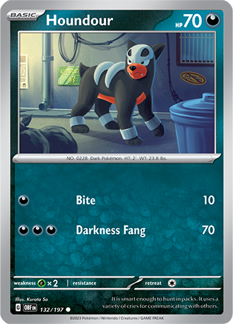 Houndour 132/197