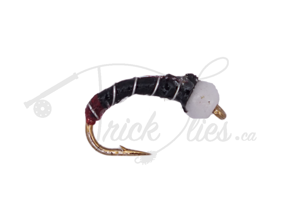 Red Butt Chironomid Black