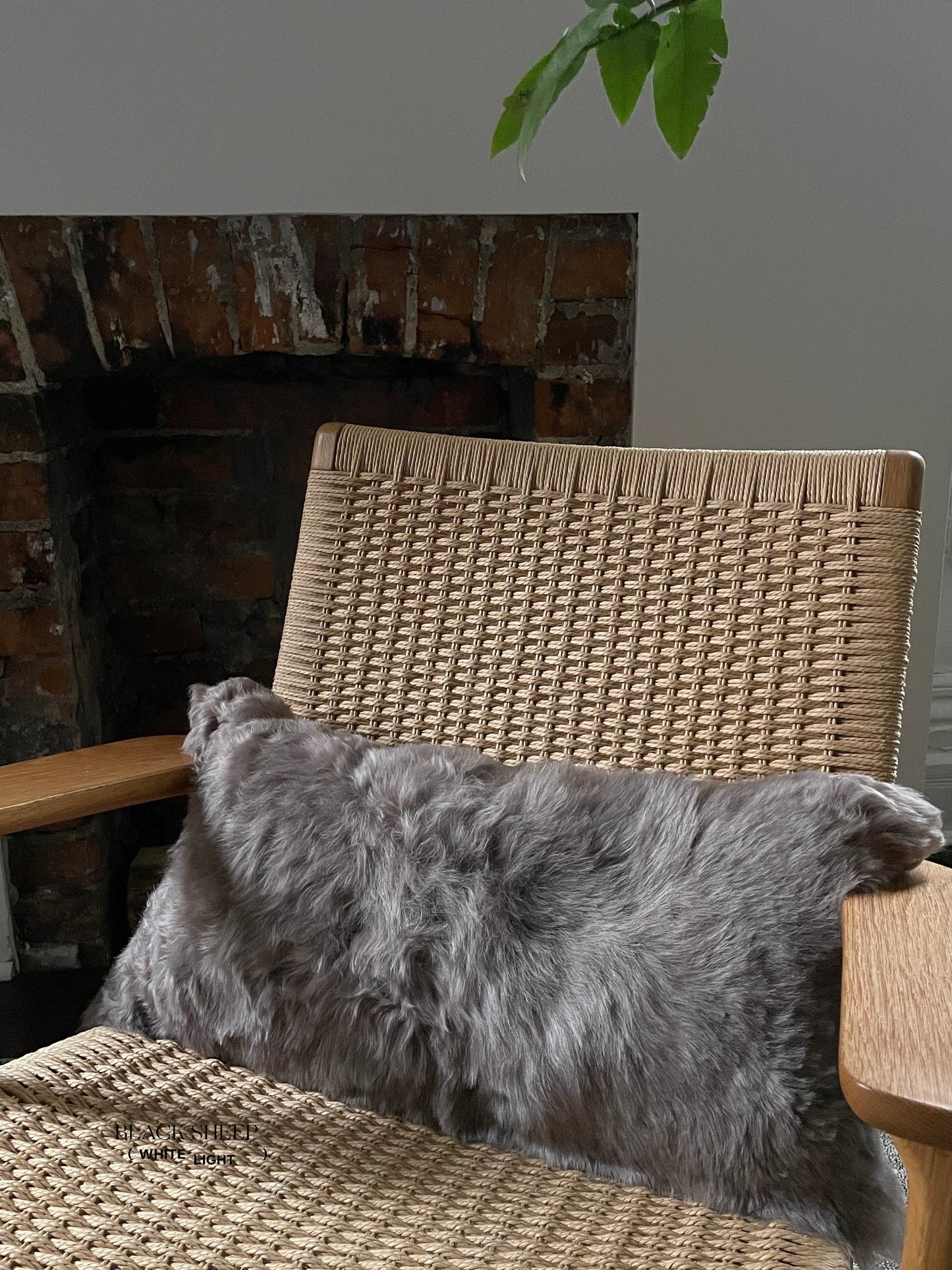 Rectangular Shorn Taupe Icelandic Sheepskin Pillow Cover