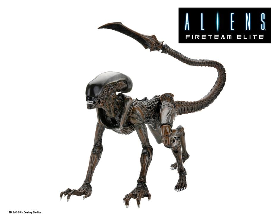 Aliens: Fireteam Elite Runner Alien Action Figure