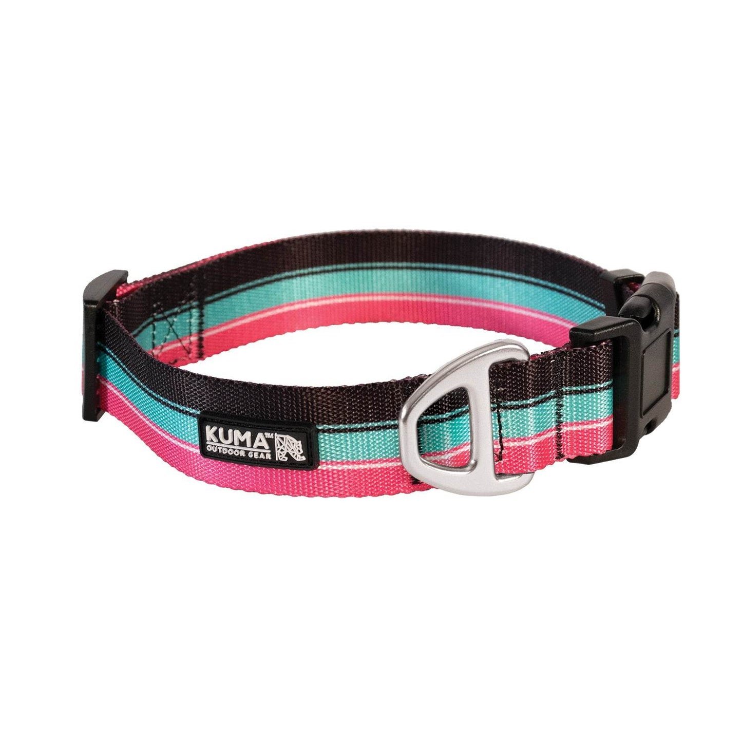 Backtrack Dog Collar - Uncle Mike's Outdoors and More!