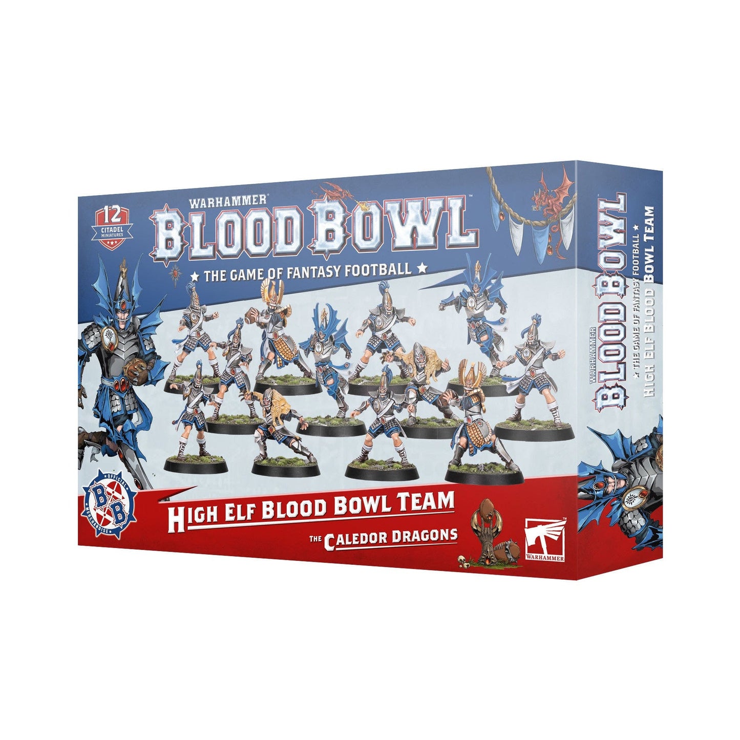 Warhammer Blood Bowl - High Elf Blood Bowl Team: The Caledor Dragons