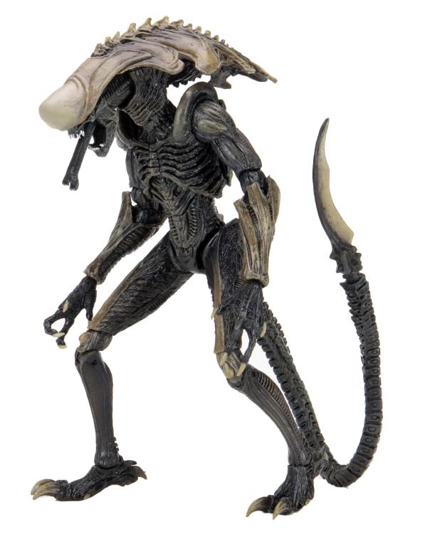 Neca - Alien vs. Predator Chrysalis (Movie Deco) Figure