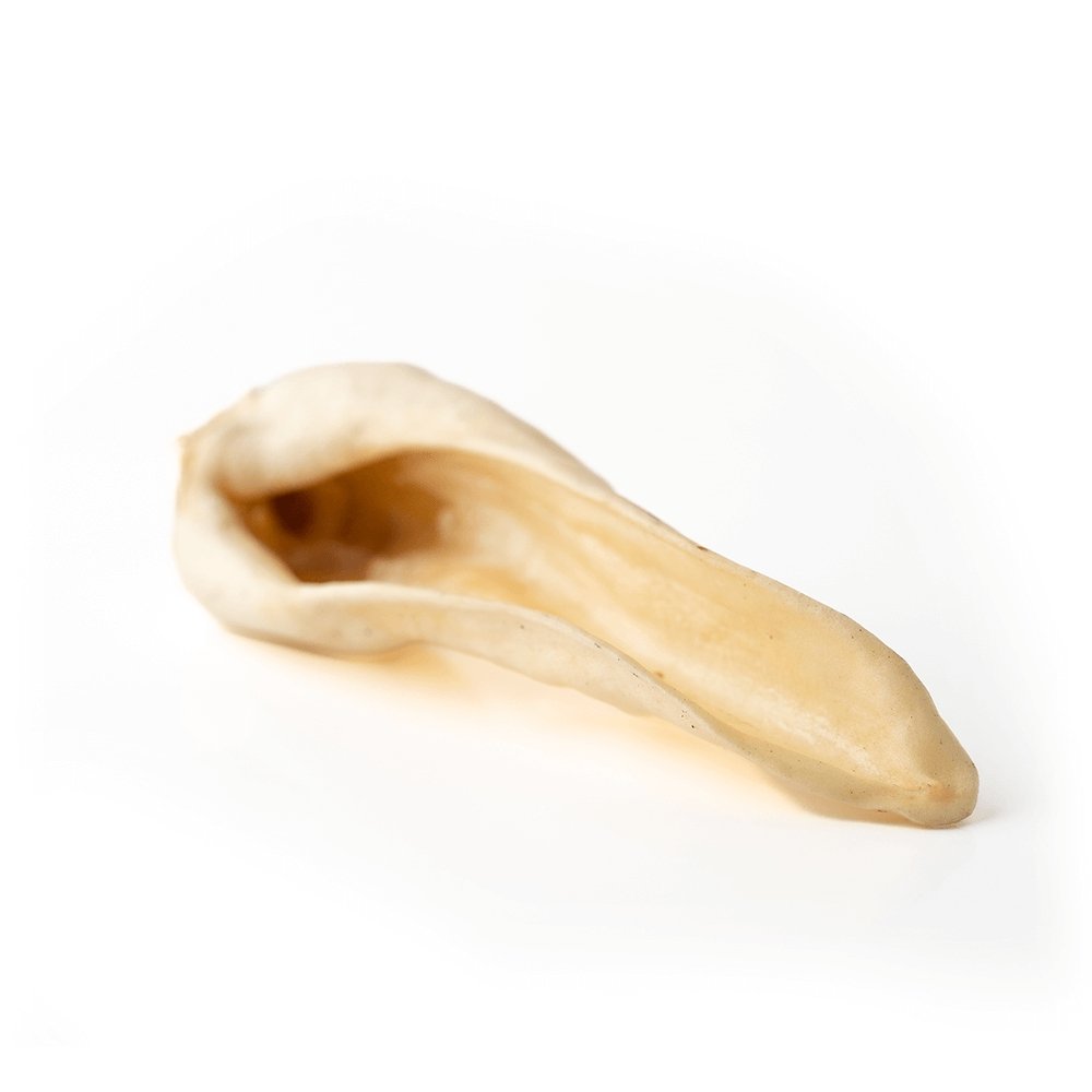 Goat Ear