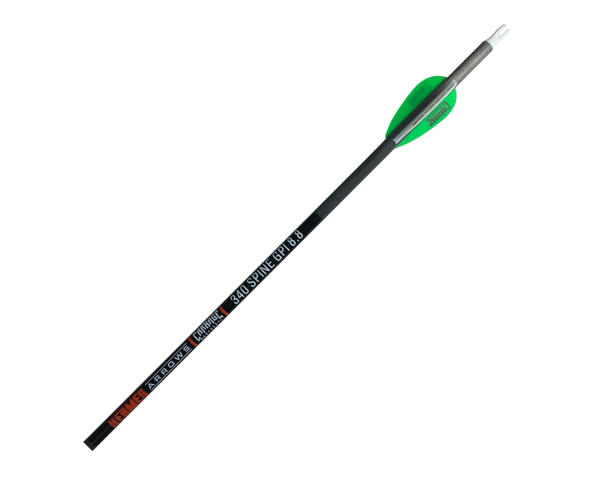 Carnage Hermes 340 Spine 6.2mm Carbon 32" 12-Pack Arrows