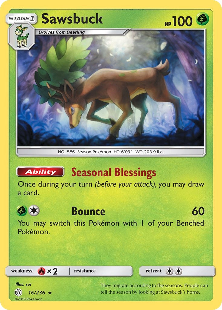 Sawsbuck 016/236