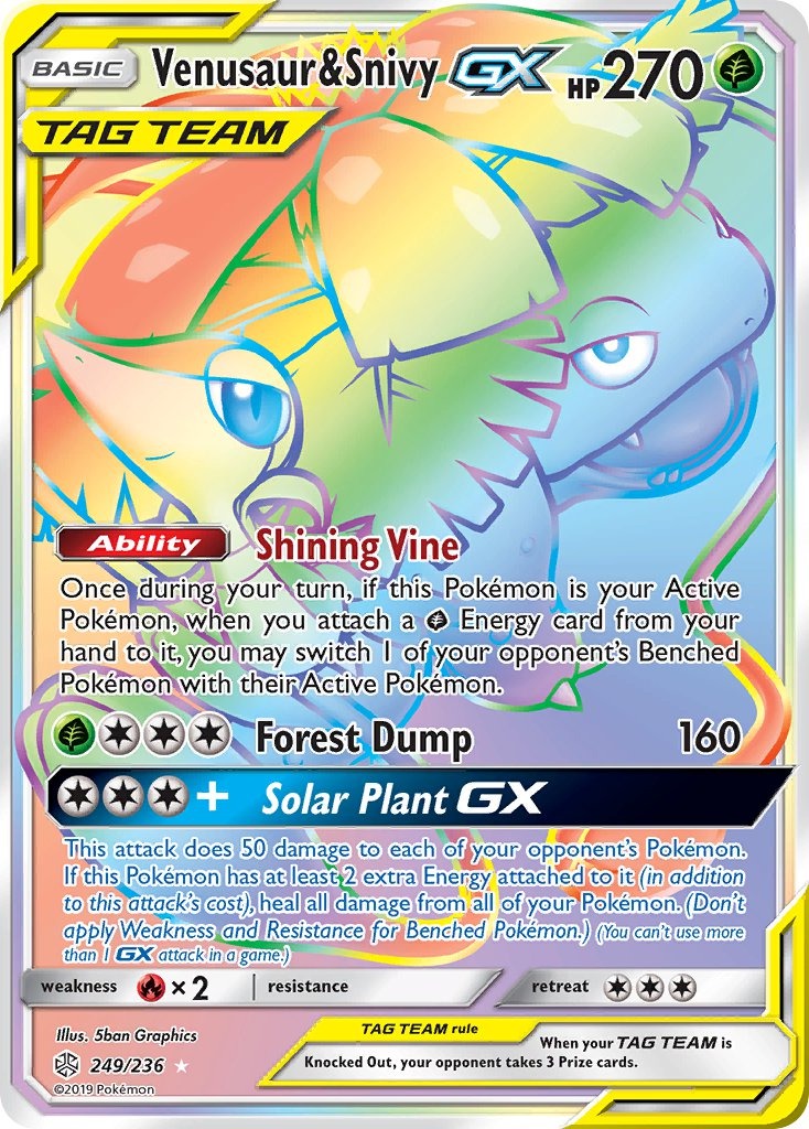 Venusaur & Snivy GX 249/236