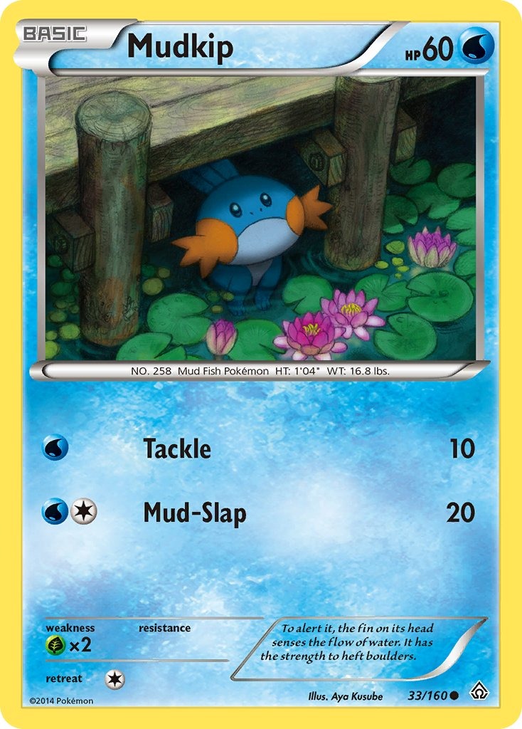 Mudkip 33/160