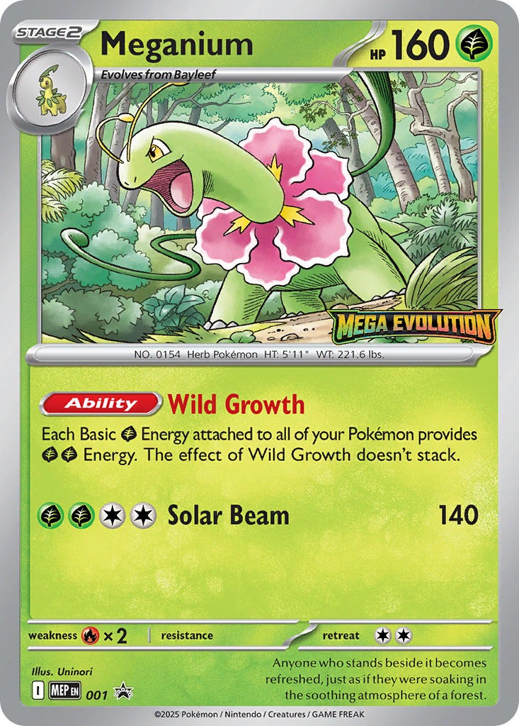 Meganium 001