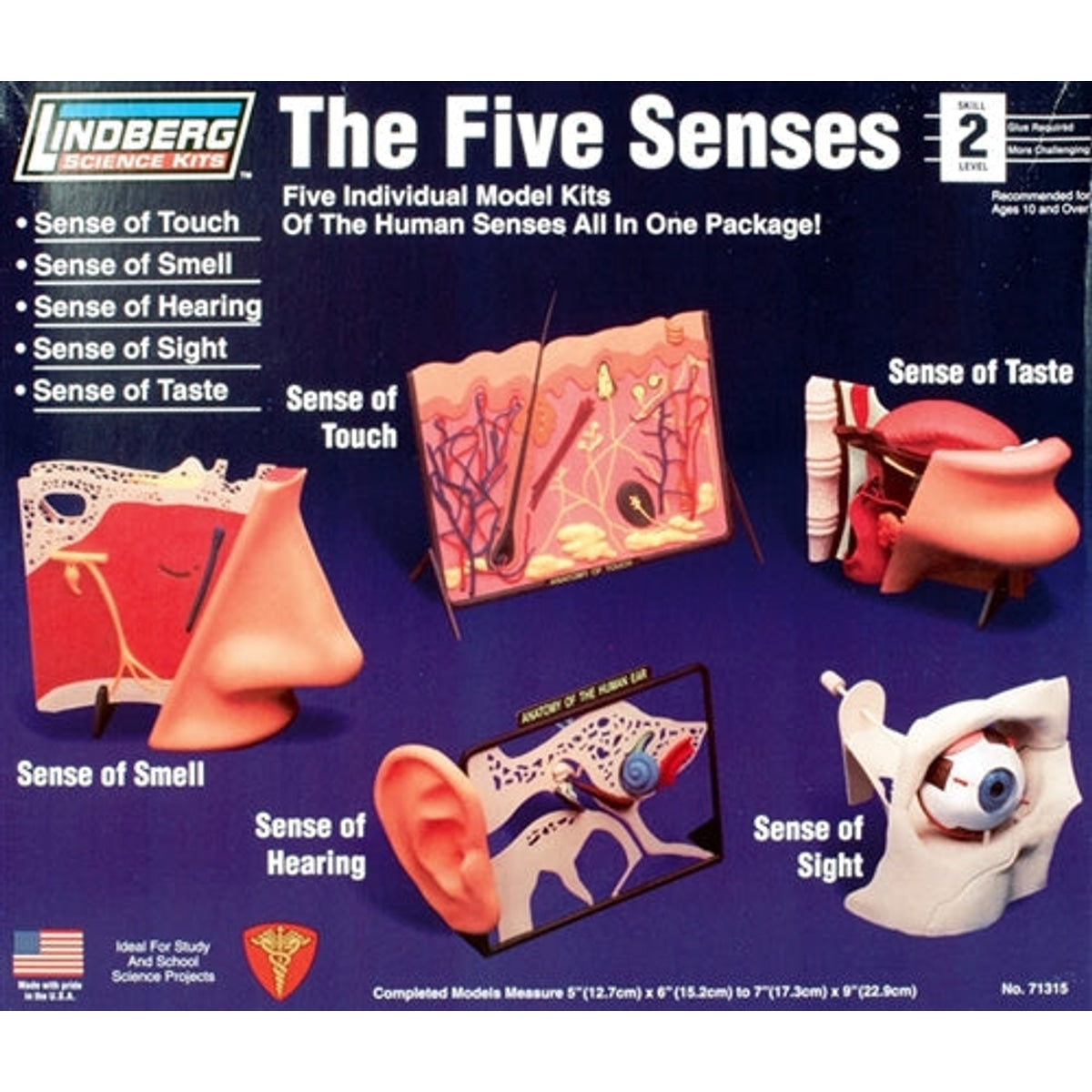 Lindberg 71315 The Five Senses (Touch, Smell, Hearing, Sight, Taste) Educational Kit (Level 2)
