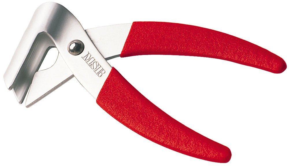 MSR LiteLifter