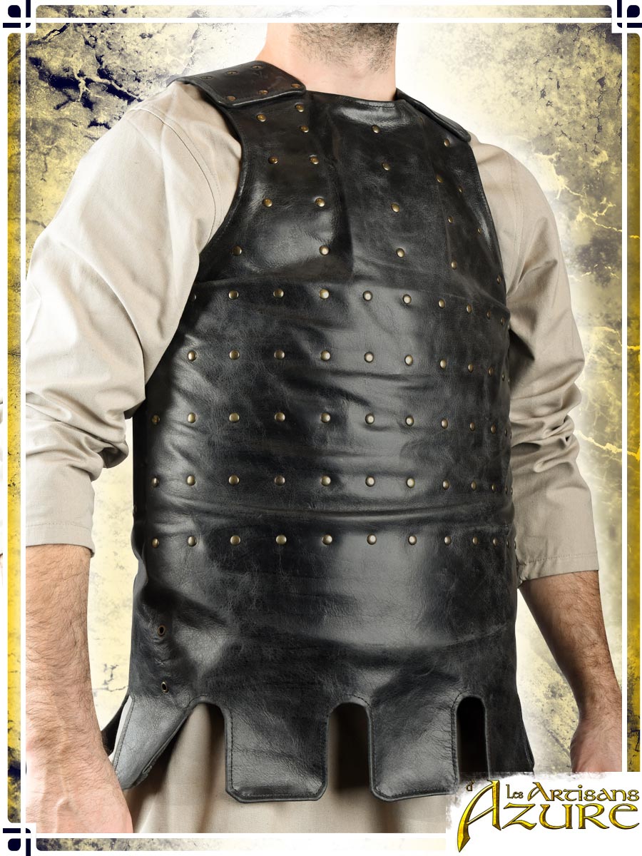 Visby Coat of Plates