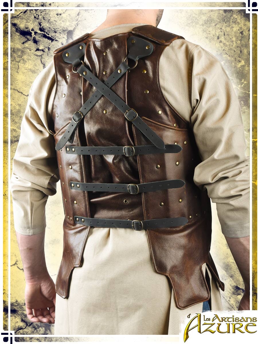 Visby Coat of Plates