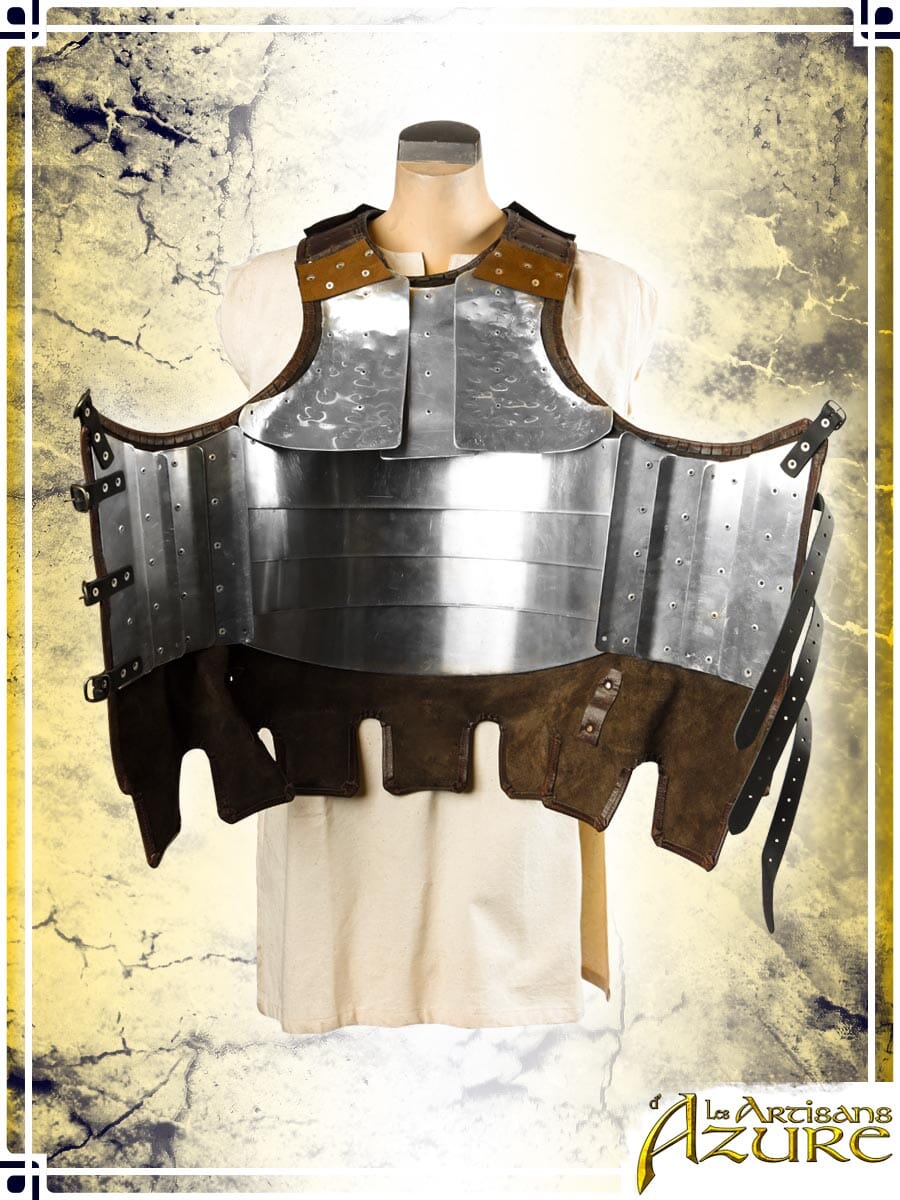 Visby Coat of Plates