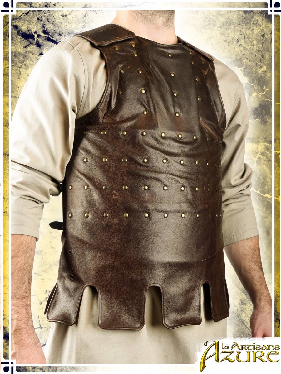 Visby Coat of Plates