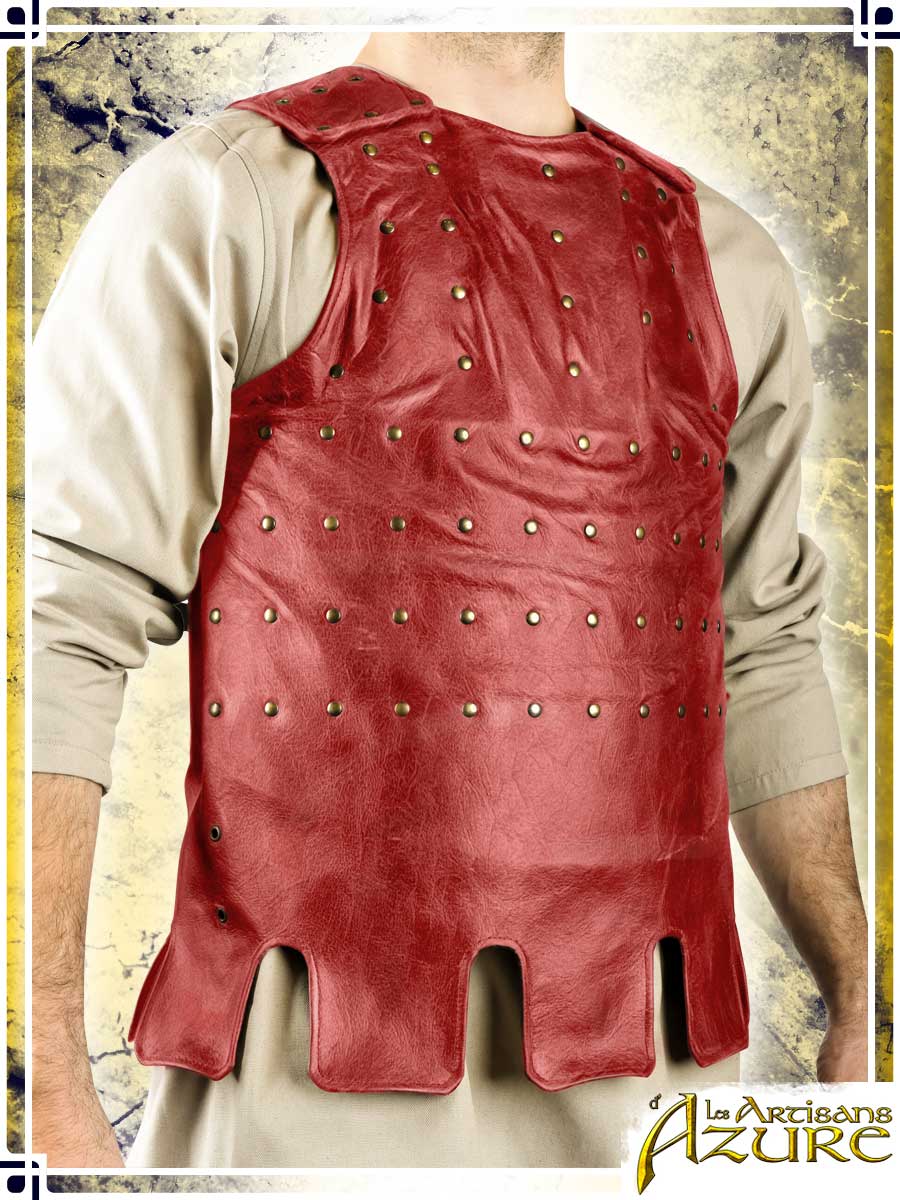 Visby Coat of Plates