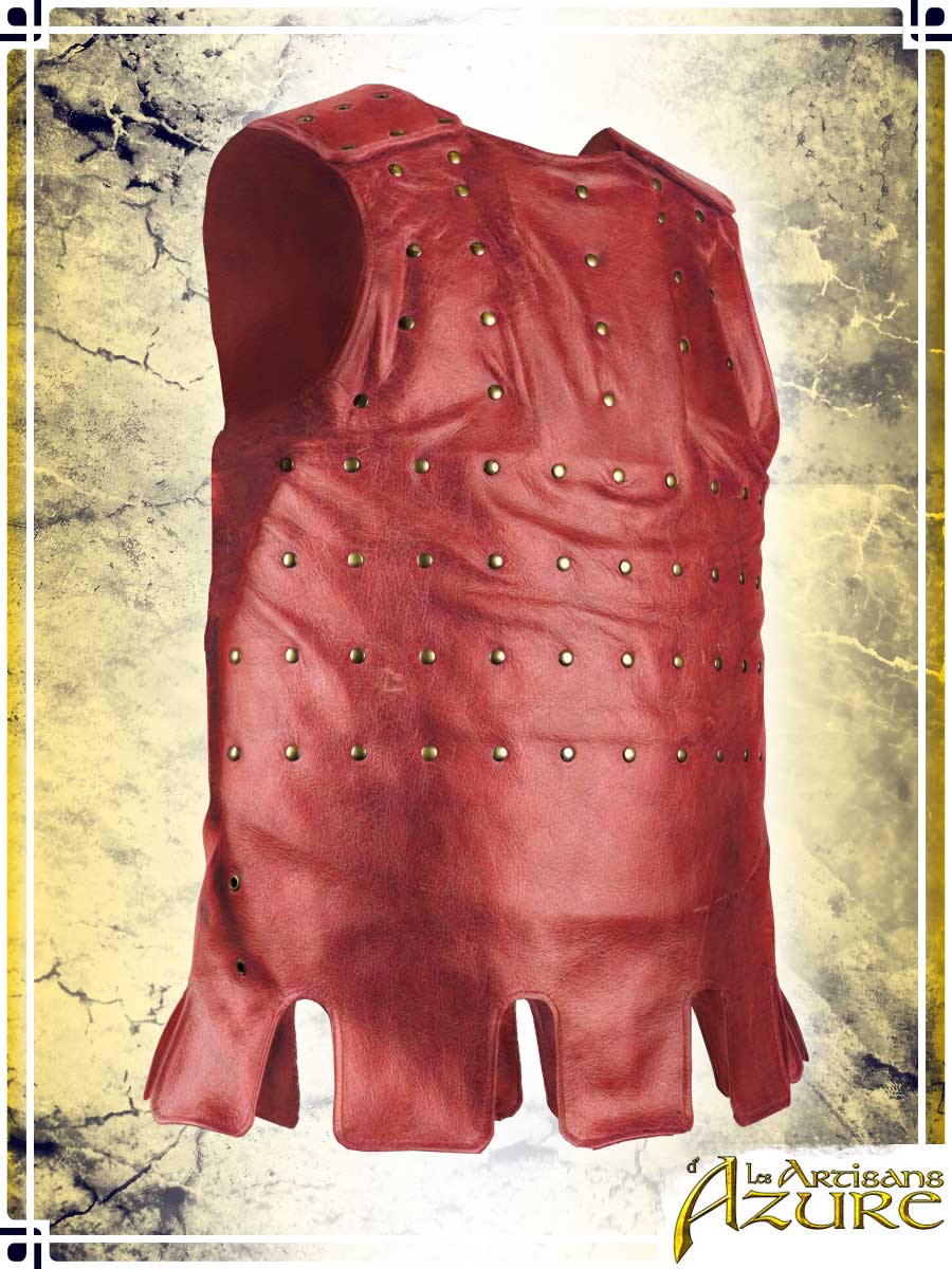 Visby Coat of Plates