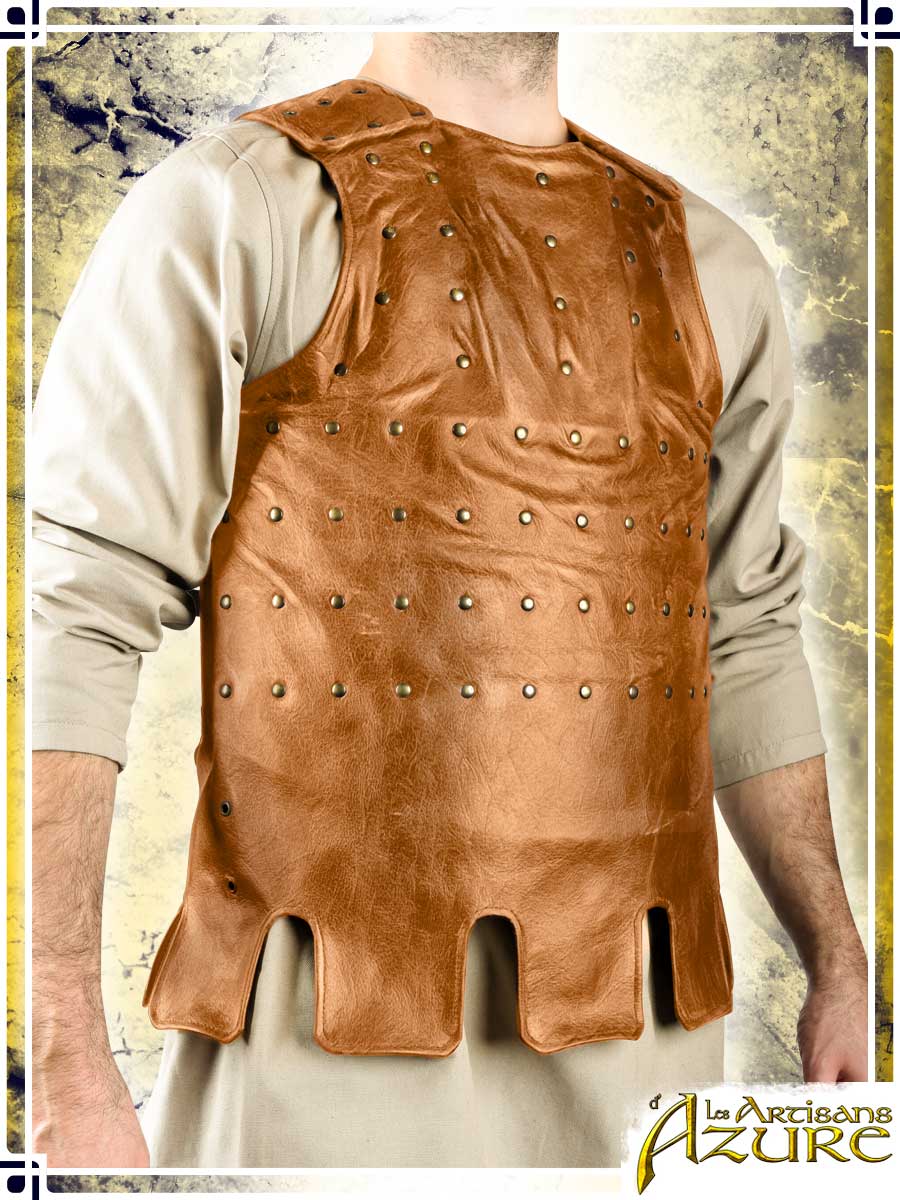 Visby Coat of Plates