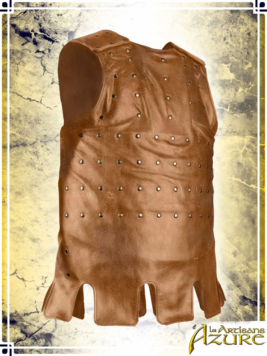 Visby Coat of Plates