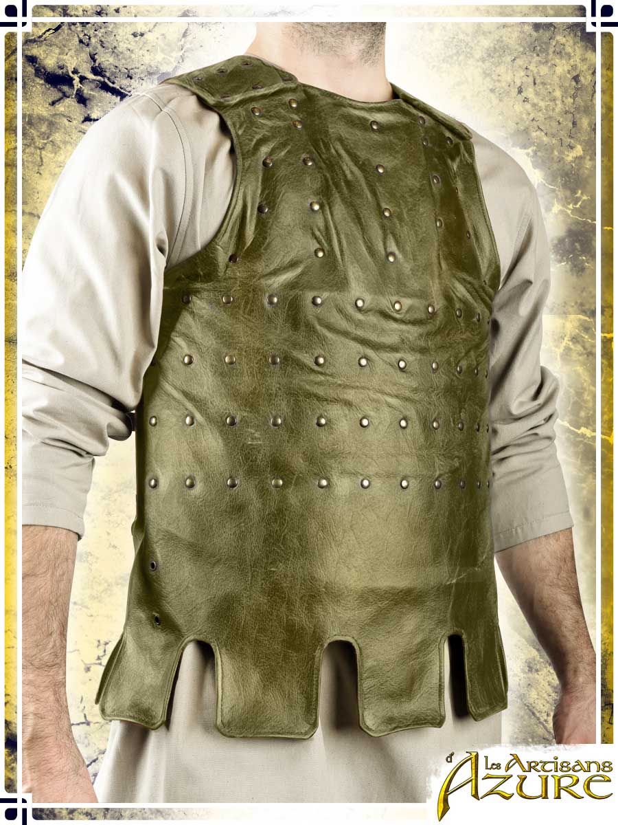 Visby Coat of Plates