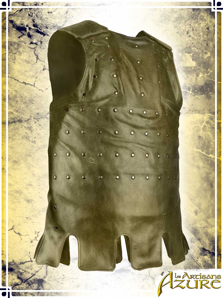 Visby Coat of Plates