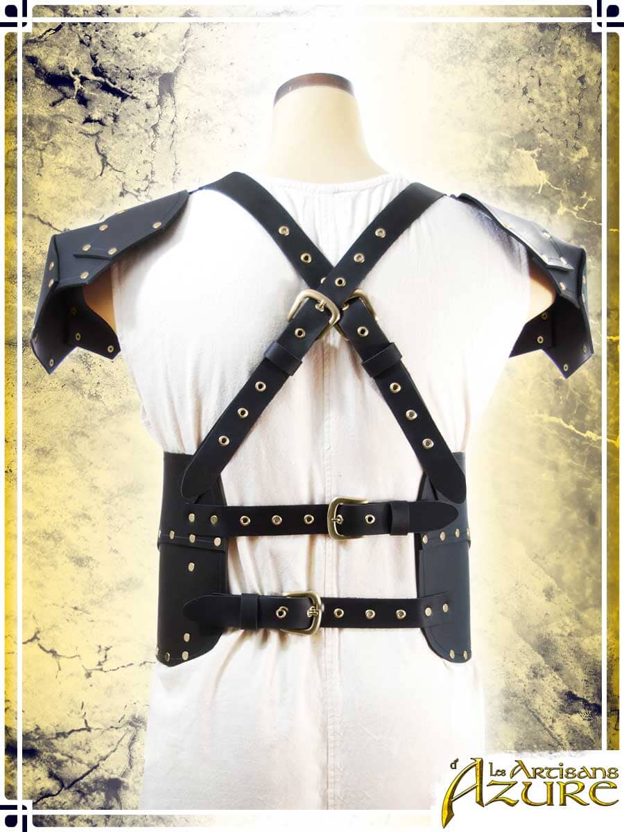 Baudouin Breastplate with Pauldrons