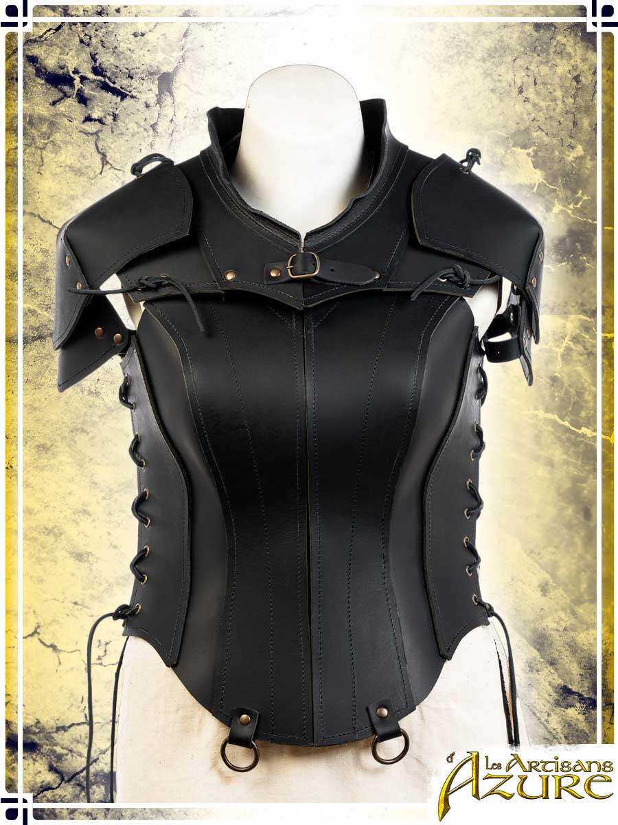 Shieldmaiden Armor Set - Heroic