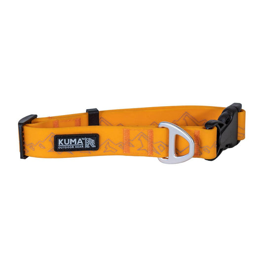 Soggy Dog Collar - Uncle Mike's Outdoors and More!