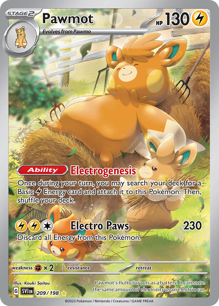 Pawmot 209/198