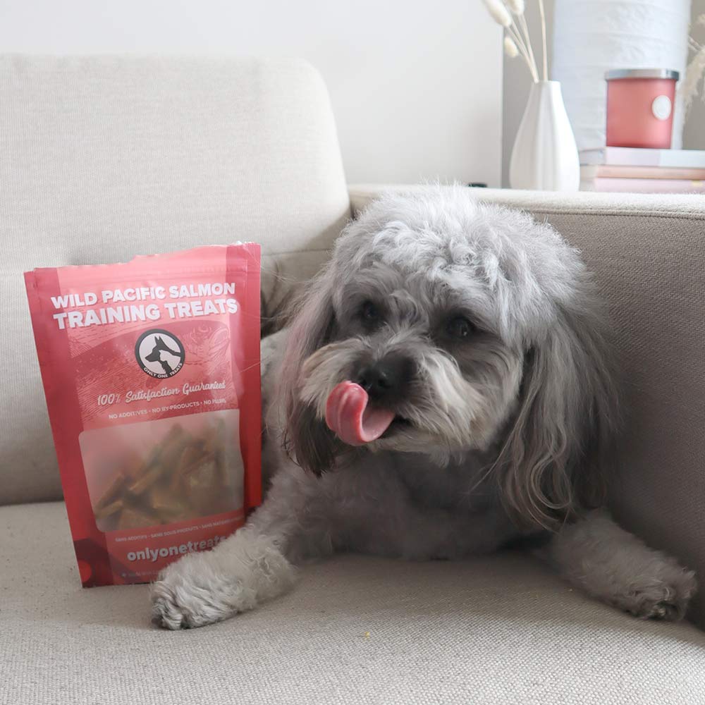Wild Pacific Salmon Training Treats 170g