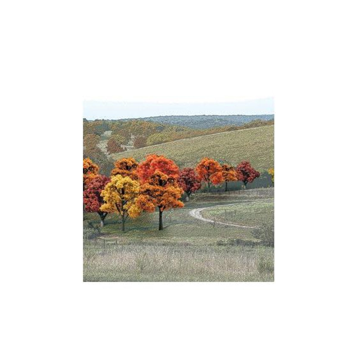 Woodland Scenics HO Ready Made Trees Fall Colors Deciduous Tree Pack 3/4 to 2" (1.9 to 5.1cm) Pkg of 38