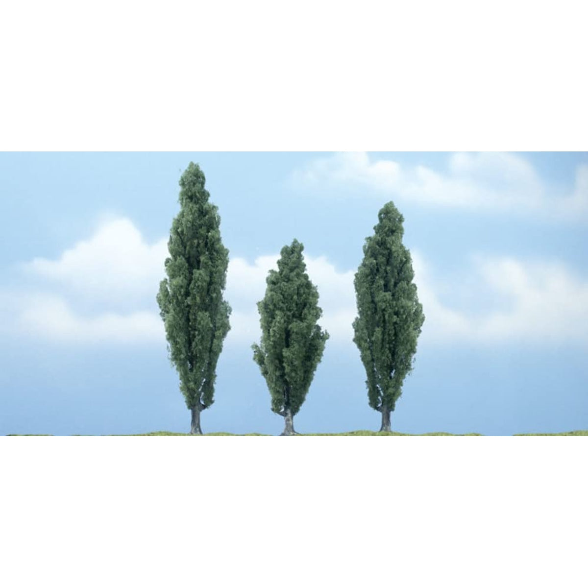Woodland Scenics Ready Made Premium Trees Poplar 1 Each: 3-1/2, 4 & 4-1/2" (8.9, 10.2 & 11.4cm)