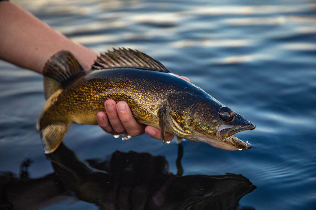 Top 10 Must-Have Items to Kick Off Your Fishing Season - Uncle Mike's Outdoors and More!