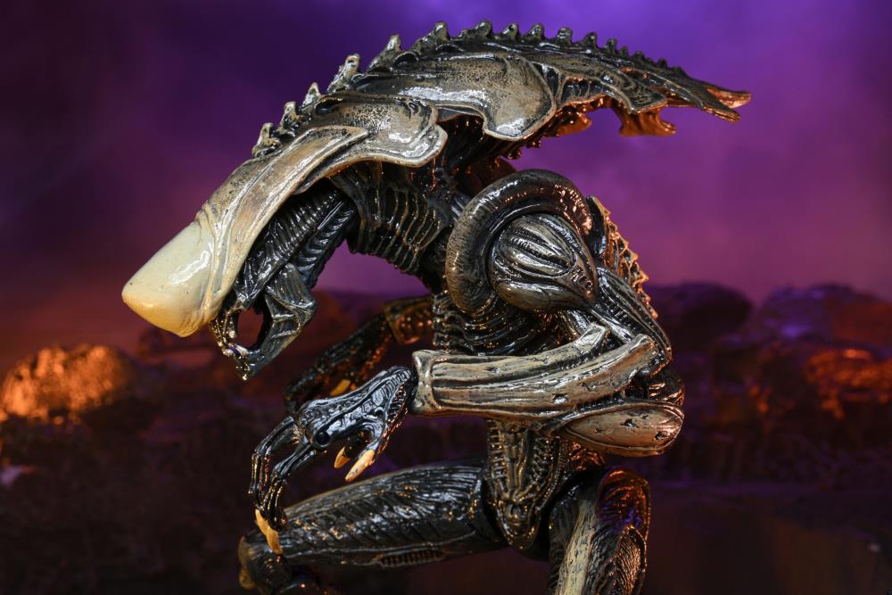 Neca - Alien vs. Predator Chrysalis (Movie Deco) Figure