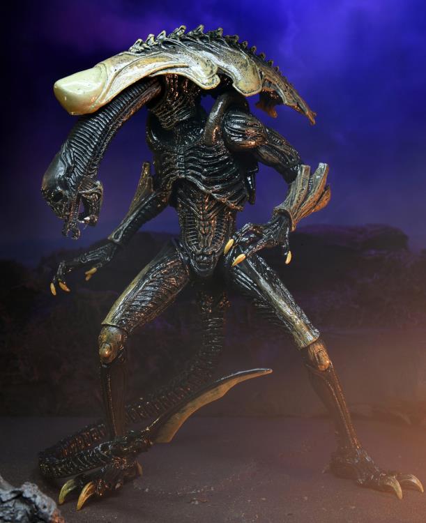 Alien vs. Predator Aliens Set of 3 Figures Movie Deco