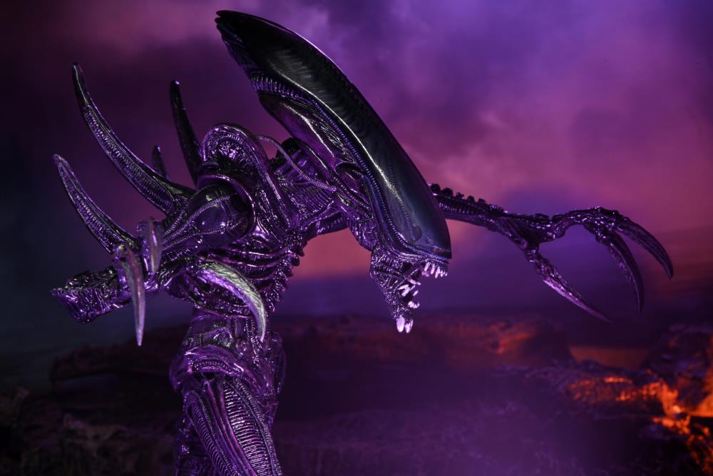 Neca - Alien vs. Predator Razor Claws - Movie Deco