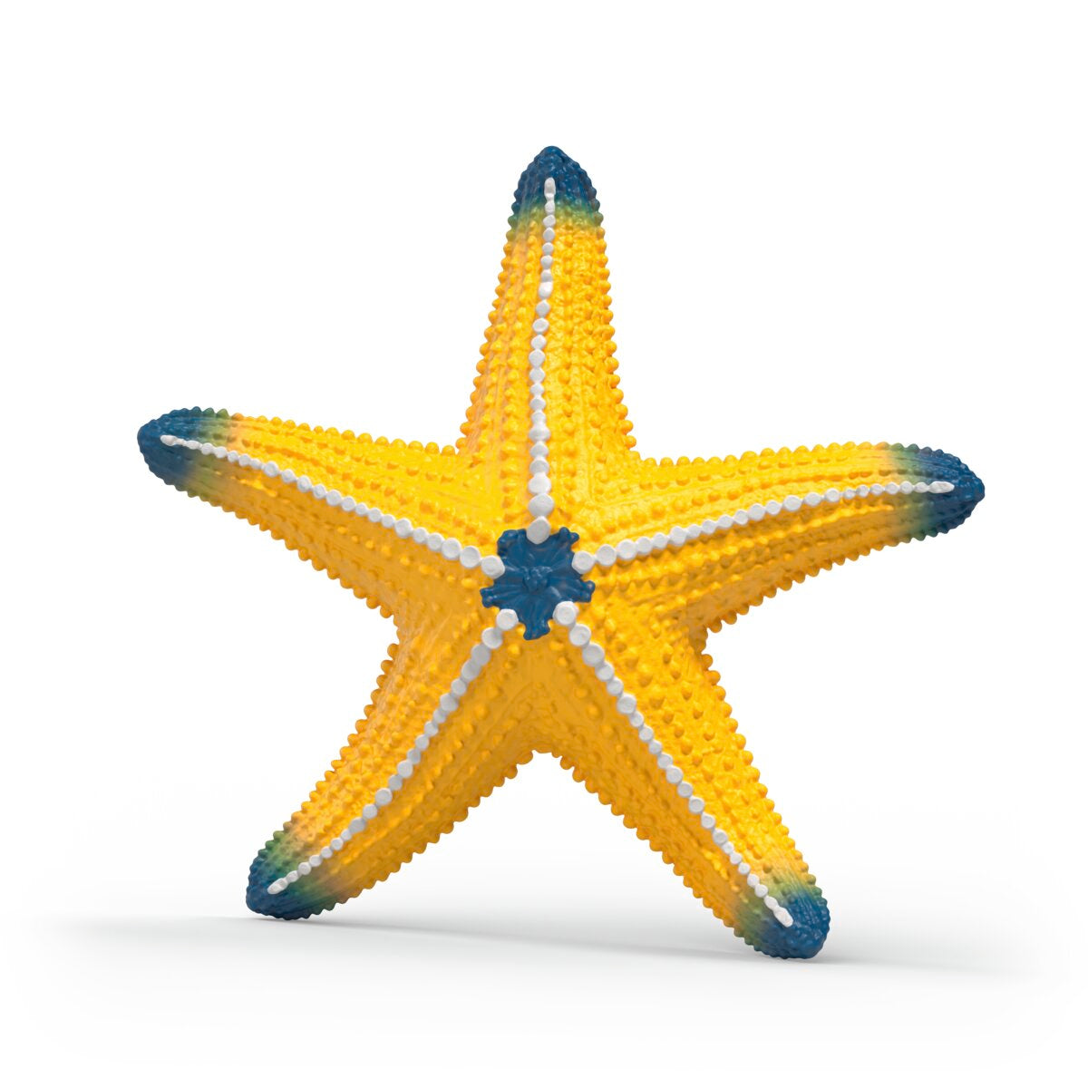 Color Changing Starfish