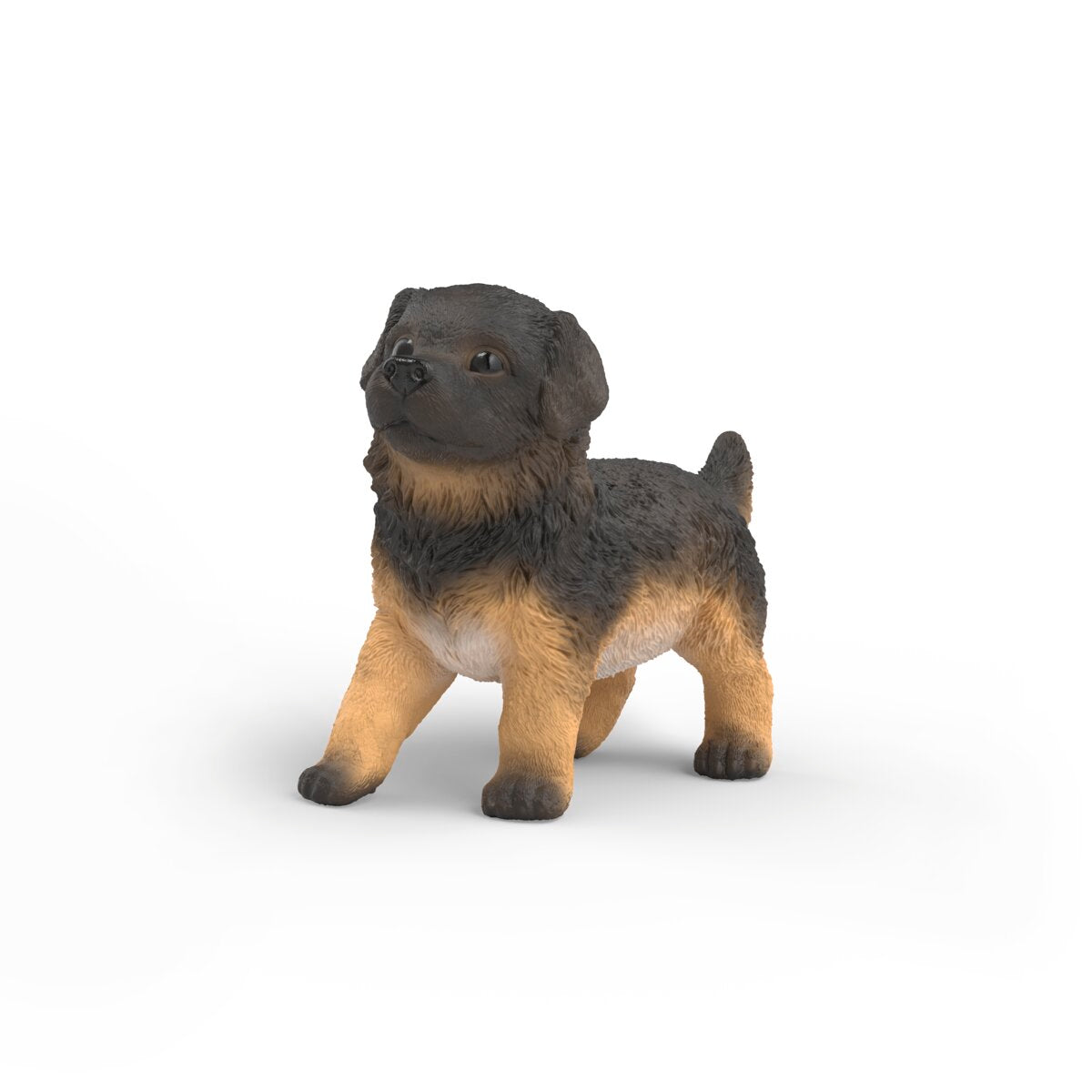 German Shepherd puppy