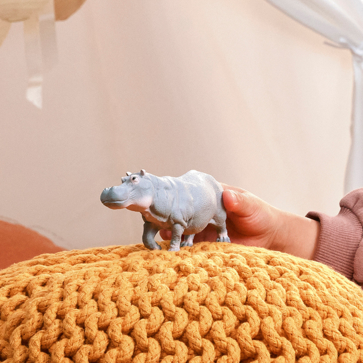Hippopotamus