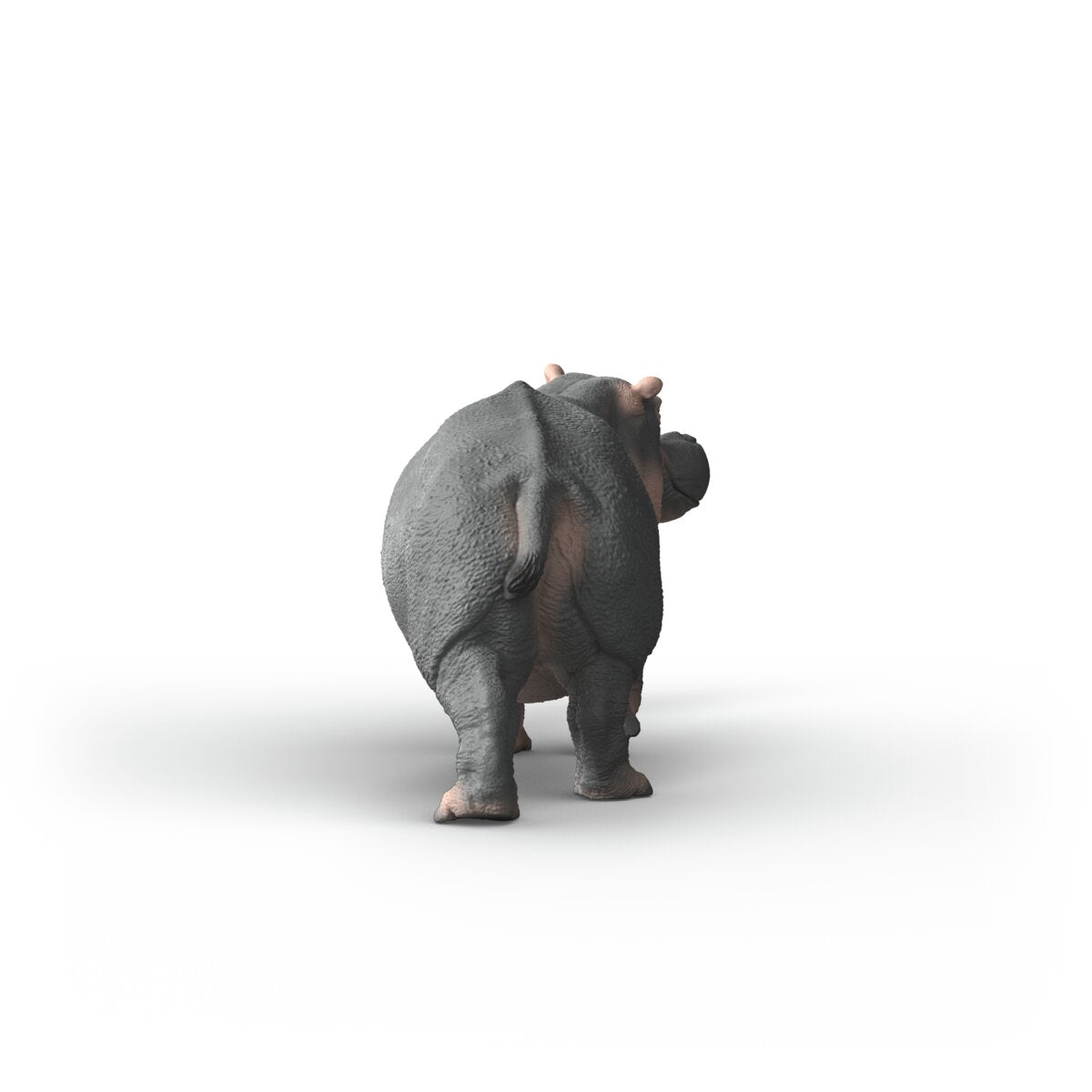 Hippopotamus
