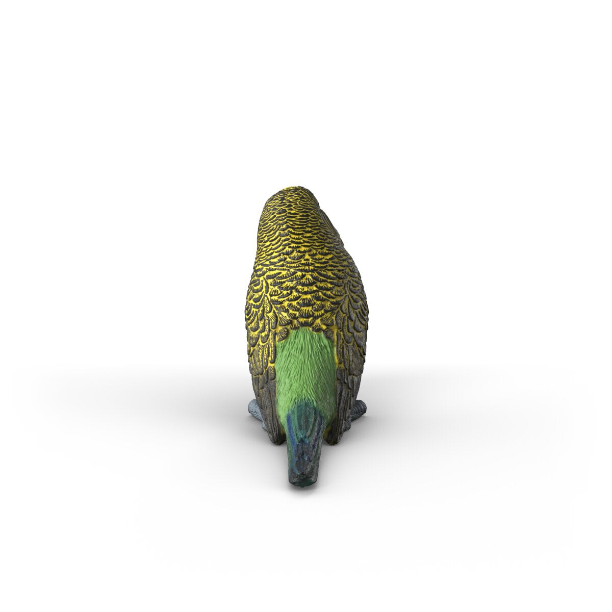 Budgie