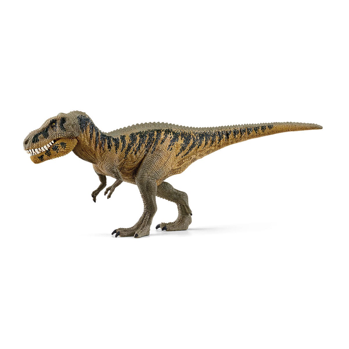 Tarbosaurus