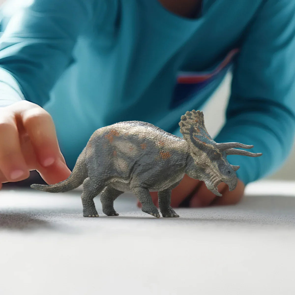 Triceratops