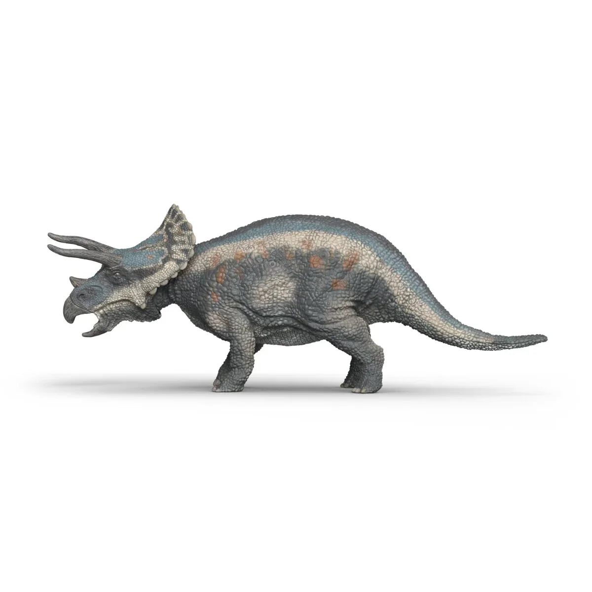 Triceratops