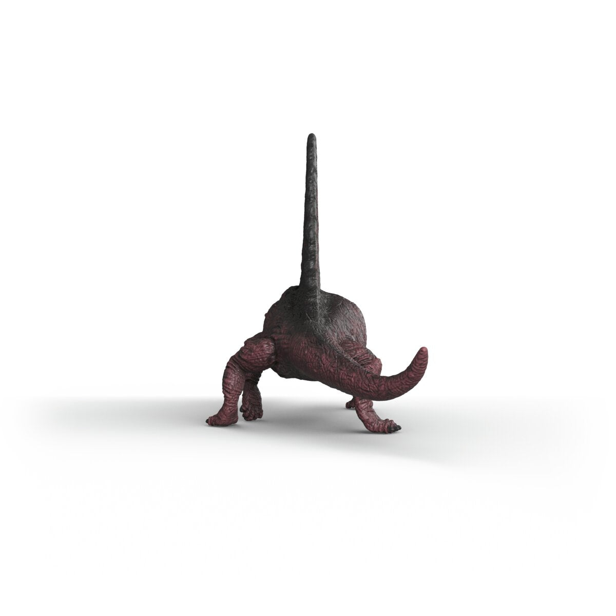 Dimetrodon