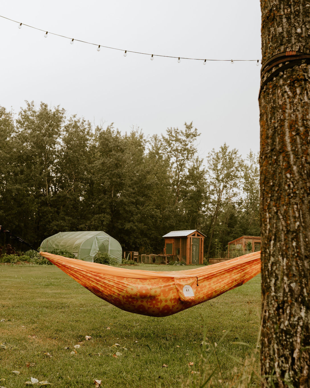 Adventure Hammock Prairie