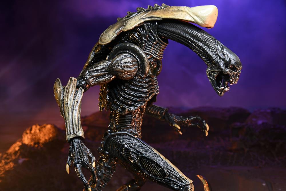Neca - Alien vs. Predator Chrysalis (Movie Deco) Figure