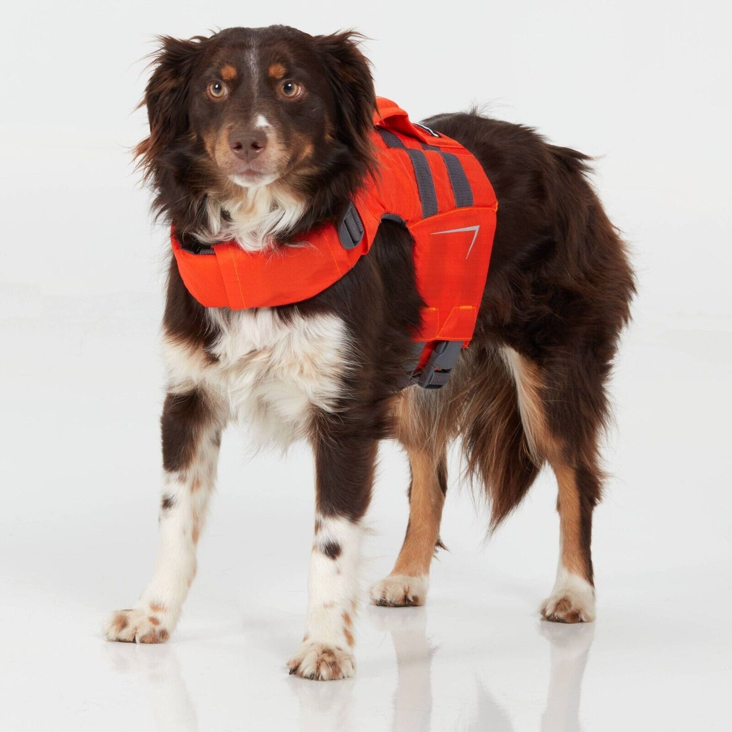 NRS CFD Dog Life Jackets