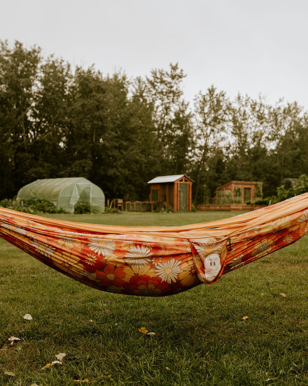 Adventure Hammock Meadow